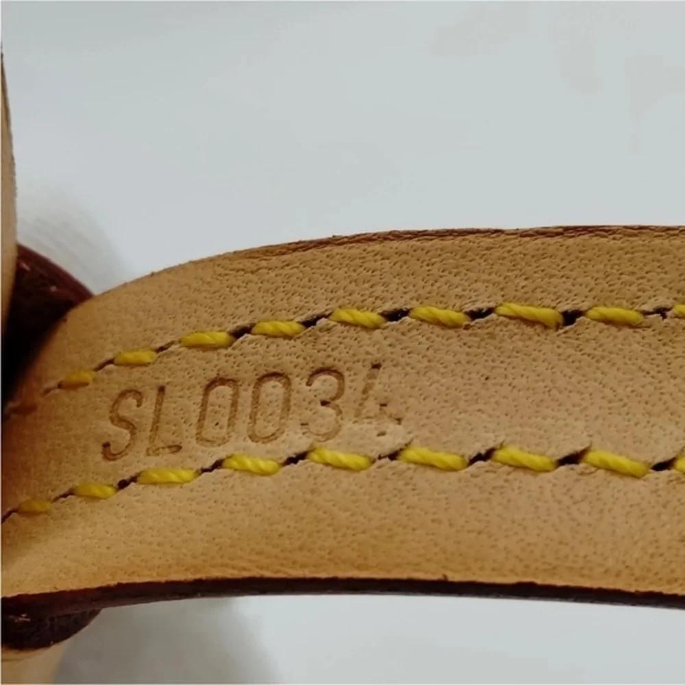 Louis Vuitton Baxter Dog Collar